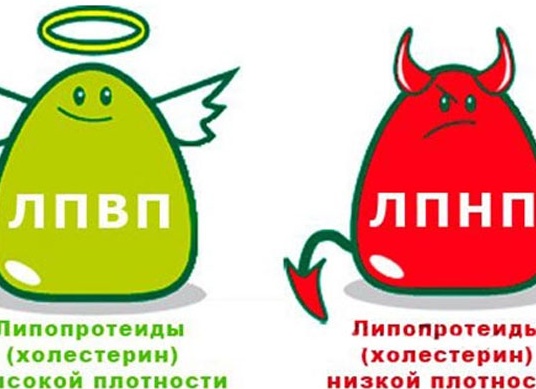 Холестерин: ДРУГ или ВРАГ?