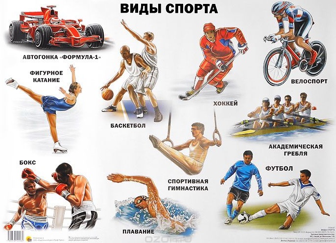 ВИДЫ СПОРТА